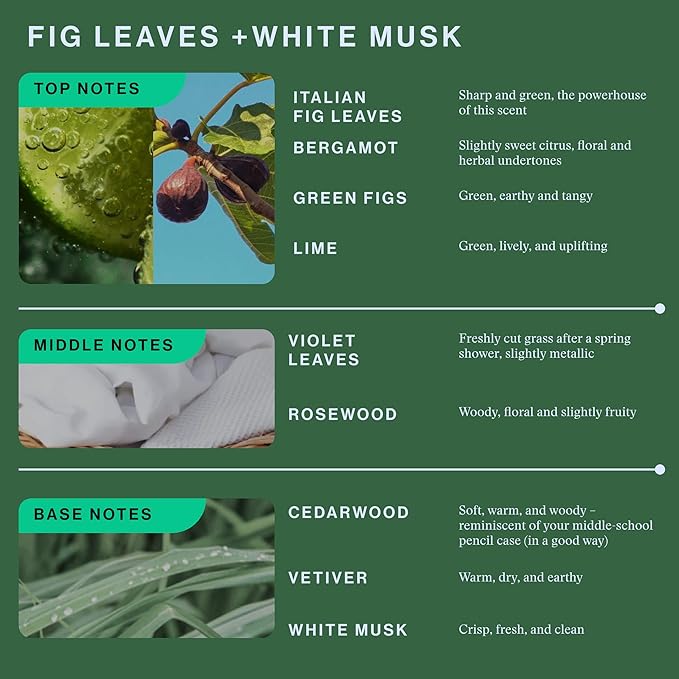 OffCourt - Fig Leaves + White Musk Scent Deodorant Body Spray and Fragrance Bundle