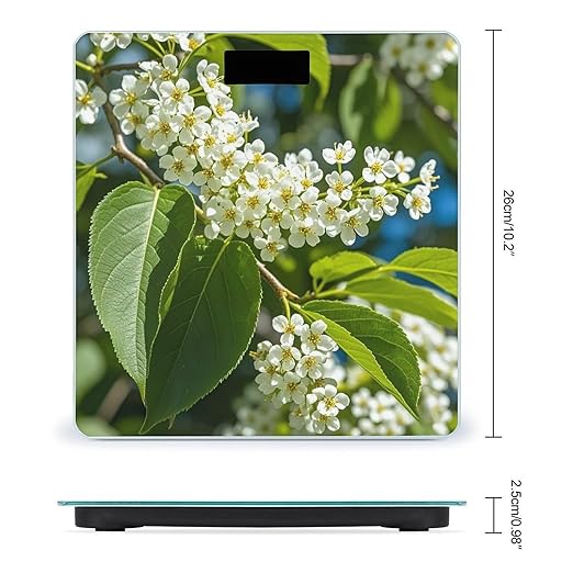 Bird Cherry in Bloom Bathroom Scale for Body Weight Bathroom Weighing Scales with Back Lit LED Display Sturdy Tempered Glass Body Weight Bathroom Scale 400lb Weighing