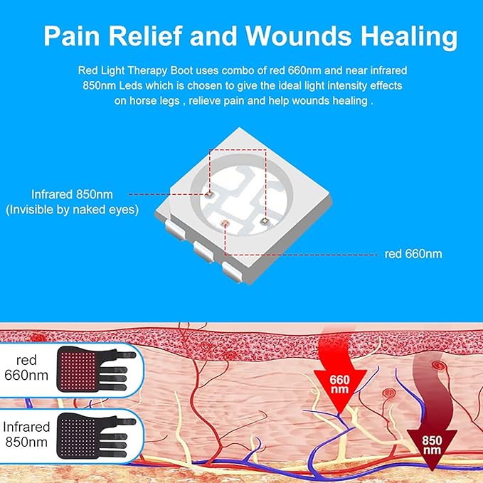 for Horse Muscle Recovery Horse Leg Therapy Kit LED Red Light Therapy Horse Leg Pain Treatment