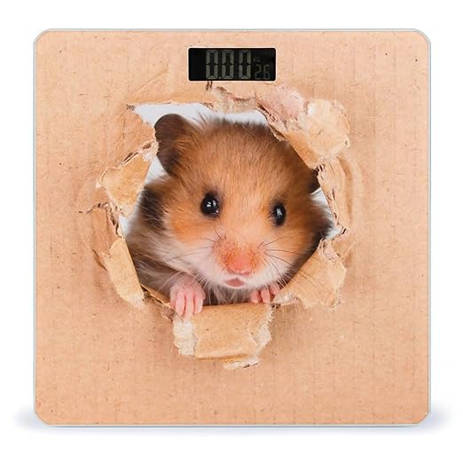 Funny Hamste Scale for Body Weight Anti-Slip Sturdy Tempered Glass Weighing Machine Highly Digital Accurate Bright LCD Bathroom Scale for Household Gift