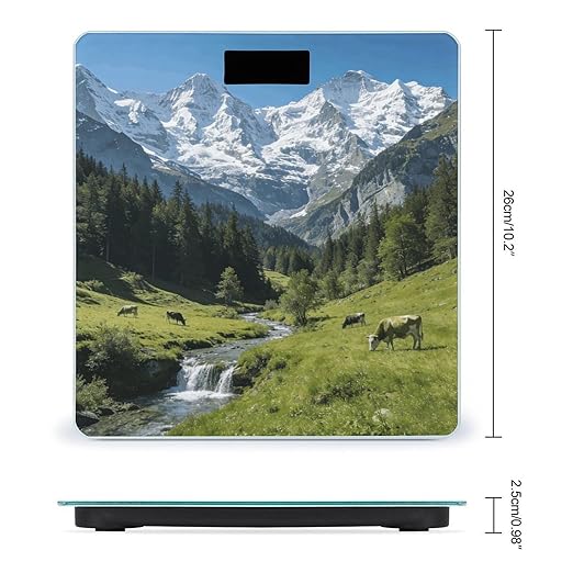 Lucerne Smart Scale for Body Weight Digital Bathroom Scale Toughened Glass Weight Scale with Large LCD Backlight Display High Precision Scales Weighing Machine