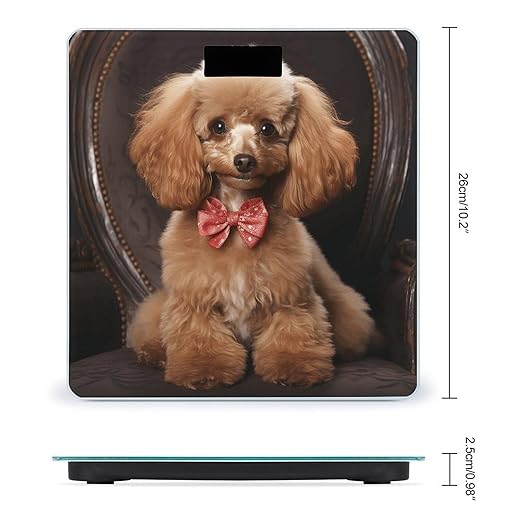Poodle Scale for Body Weight Anti-Slip Tempered Glass Digital Bathroom Scales Clear LCD Display Weighing Scale Safe Rounded Corners Smart Scales