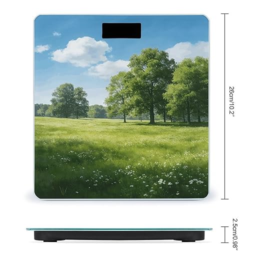 Meadow Green Smart Scale for Body Weight Digital Bathroom Scale Toughened Glass Weight Scale with Large LCD Backlight Display High Precision Scales Weighing Machine