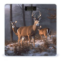 Deers Bathroom Scale Rounded Smart Scale for Body Weight Automatic Power On/Off Weight Scales Accurate Bathroom Digital Scales for Pet Home Bedroom Kitchen