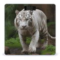 Majestic White Bengal TigerScale for Body Weight with LCD High Precision Weighing Scales Fashion Sturdy Tempered Glass Weight Scales Easy-to-Read Digital Bathroom Scale for Daily 400lb