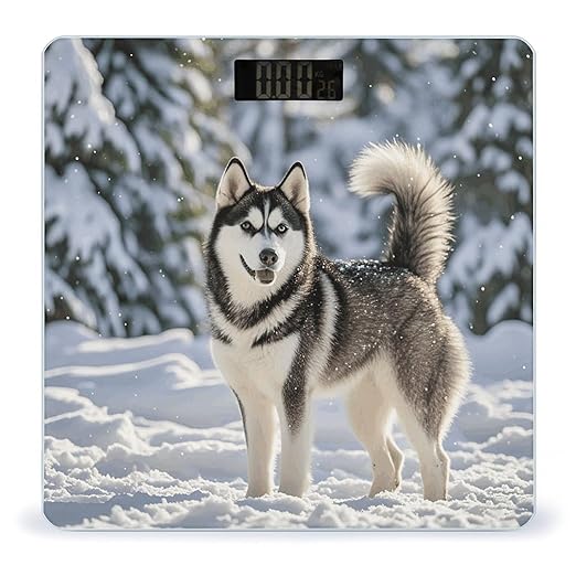 Husky in Snow Dog Digital Bathroom Scale for Body Weight Weighing Scale with Backlit LCD Display High Precision Measurements &amp Measures Weight Up to 180kg