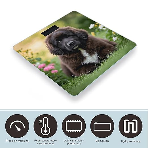 Cute Pet Newfoundland Dog Bathroom Scale Large LCD Backlight Display Digital Scale Rounded Corners Body Scales Automatic Power On/Off Bathroom Scales for Home Bedrooms