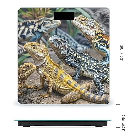 Different Types of Lizard Scale for Body Weight Highly Accurate Digital Bathroom Body Scale Digital Bathroom Scales for People Anti-Slip Large LCD Display Smart Scales