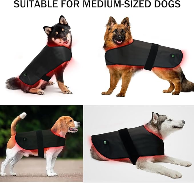 2025 Medium Pet LED Red Light Therapy Device Wearable Infrared Therapy Belt (660nm 850nm) Dual-Wavelength 120° Luminous Angle for Back Abdomen Recovery