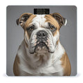 English-Bulldog Scale for Body Weight Digital Bathroom Scale Toughened Glass High Precision Scales for Body Weight with Large LCD Backlight Display Weight Scales