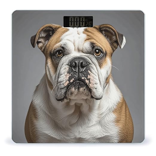 English-Bulldog Scale for Body Weight Digital Bathroom Scale Toughened Glass High Precision Scales for Body Weight with Large LCD Backlight Display Weight Scales