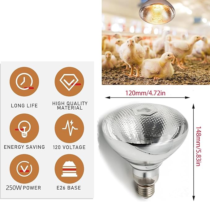 250W Heat Lamp Bulbs for Chickens Clear Glass Incandescent Heat Lamp Infrared Heat Bulb for Brooder Coop Food Service Reptiles Pets Bathroom 110V E26 Light Therapy Reflector Heat Bulb4 Pack