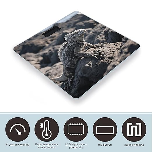 MarineIguana Scale for Body Weight Sturdy Tempered Glass Weighing Scales with LCD Display Accurate Digital Bathroom Scale Convenient Body Fat Smart Scales Easy Read