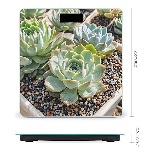Smiling SucculentsSmiling Succulents Scale for Body Weight Highly Accurate Digital Bathroom Body Scale Digital Bathroom Scales for People Anti-Slip Large LCD Display Smart Scales