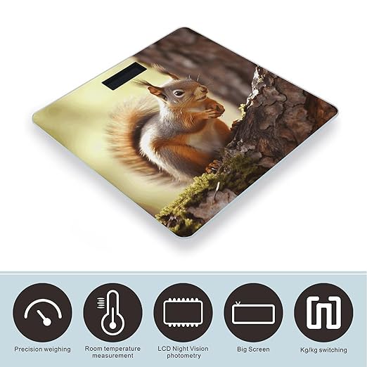 Funny Squirrel Bathroom Scale Large LCD Backlight Display Digital Scale Rounded Corners Body Scales Automatic Power On/Off Bathroom Scales for Home Bedrooms