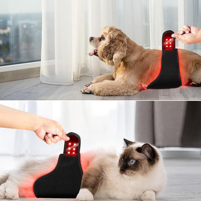 Red Light Physical Therapy Device 660NM+850NM Wavelength Wearable Infrared Light Therapy Device for Recovery Abdomen Buttocks and Back of Cats/Dogs