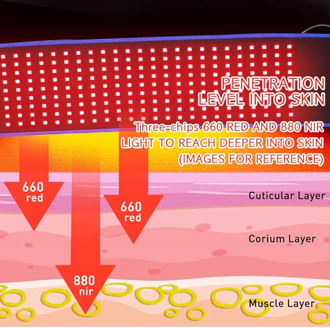 DGXINJUN Red Infrared Light Therapy Devices for Body Wrap Back Pain Relief Home Use Wearable Belt Joints Muscle Benefits