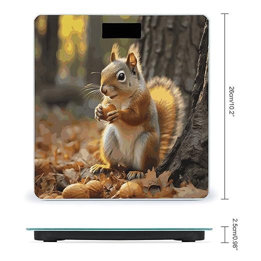 Cute Squirrel Eating Nuts Bathroom Scale for Body Weight Bathroom Weighing Scale with Backlit LCD Display Highly Accurate Measures Weight Up to 180kg