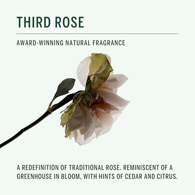 Corpus - Third Rose Body Wash | Moisturizing Plant-Based Cleanser for Women &amp Men Skincare-Grade Oils &amp Botanical Extracts | Sulfate-Free No Synthetic Fragrance or Parabens (266 ml/ 9 fl oz)