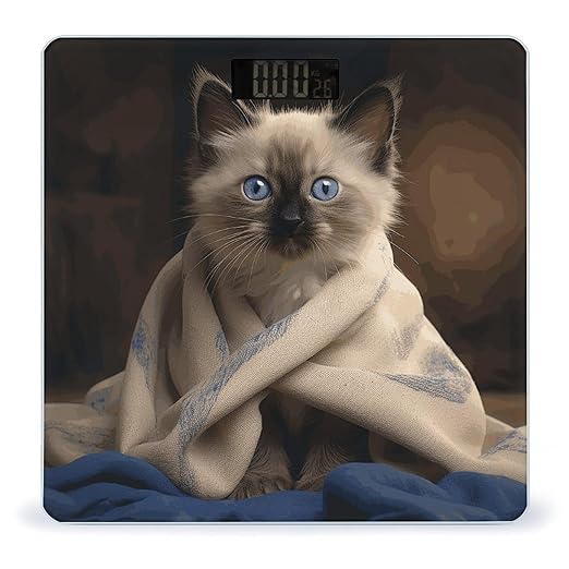 Cat on Blanket Weight Scale Digital Electronic Scales Bathroom Scale Larg LCD Backlight Display High Precision MeasurementsTempered Glass