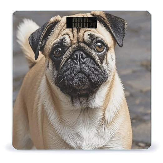 Pug Dog Bathroom Scale Ultra-Bright Liquid Crystal Screen Weight Scale Accurate Bathroom Body Scales for Body Weight Bathroom Pet Home Bedroom Gift-Giving