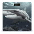 Shark Scale for Body Weight Anti-Slip Digital Bathroom Scale Sturdy Toughened Glass Weighing Scales High Precision Safe Rounded Corners Smart Scales