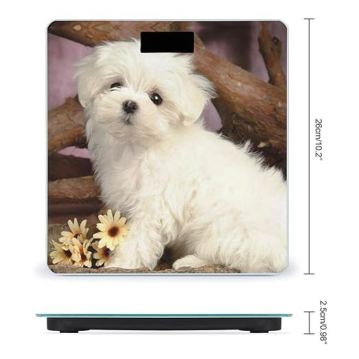 Cute Dog Scale for Body Weight Anti-Slip Sturdy Tempered Glass Weighing Machine Highly Digital Accurate Bright LCD Bathroom Scale for Household Gift