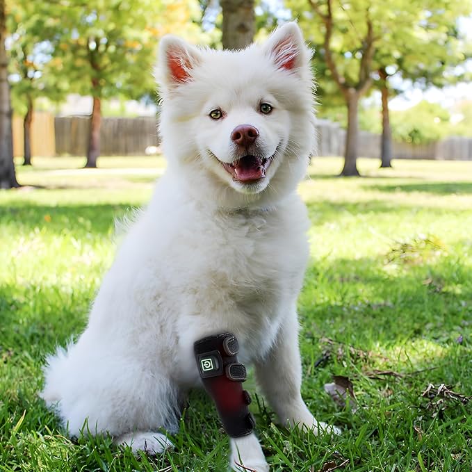 Pro Infrared Therapy Knee Brace for Pet Dog Cat Puppy Red Light Therapy Machine for Pain Relief Timing Wearable Relieving Joint Pain in Small Medium Large Animals