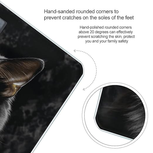 A Black Cat on A Black Background Smart Scale for Body Weight Accurate Bathroom Scale with LED Display Digital Weight Scales Weighing Machine High Precision Scales for Bath Home