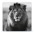 African Lion Black and White Scale for Body Weight Safe Rounded Corners Tempered Glass Digital Bathroom Scale LED Display 400lb Capacity Weight Scales with High Precision Sensors