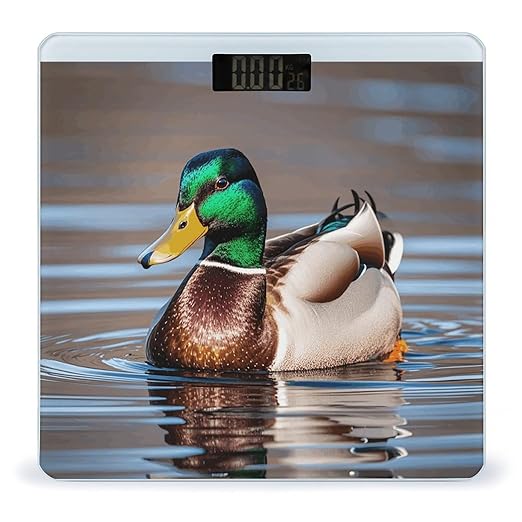 Mallard Duck Scale for Body Weight Highly Accurate Digital Bathroom Scale Sturdy Tempered Glass Weighing Scales with LCD Display Fashion Body Fat Smart Scales 400lb