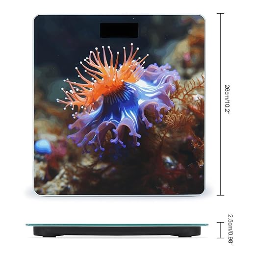 Nudibranch Bathroom Scale Automatic Power On/Off Body Scales LCD Backlight Display Square Digital Scale Rounded Corners Bathroom Scales for Home Bedrooms