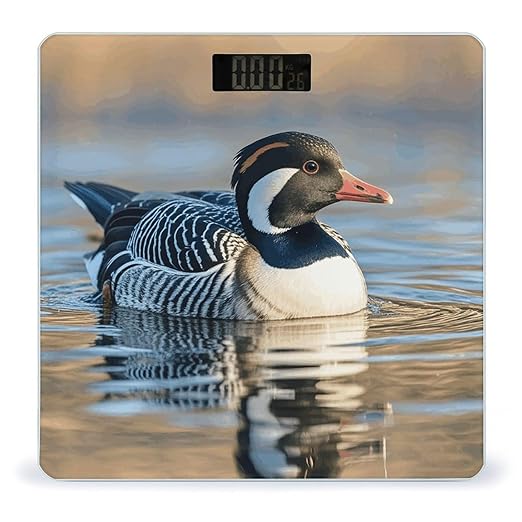 Loon Nature Birds Scale for Body Weight Sturdy Tempered Glass Weighing Scales with LCD Display Accurate Digital Bathroom Scale Convenient Body Fat Smart Scales Easy Read