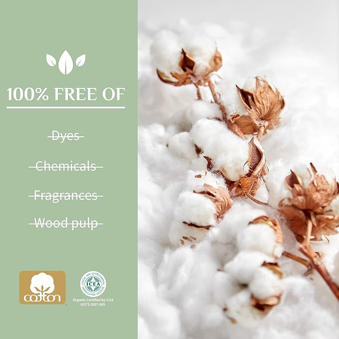 Organyc - 100% Certified Organic Cotton Inside and Out Feminine Pads Sanitary Napkin 40 Count Heavy Flow New Larger Size Packaging