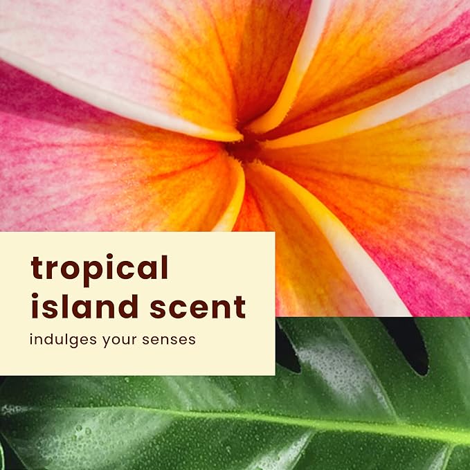 Hawaiian Tropic Everyday Active Lotion Sunscreen SPF 308Fl OzHawaiian Tropic Sunscreen SPF 30SunblockOxybenzone Free-SunscreenBroad Spectrum-Sunscreen Pack8Fl Oz each(Pack of 4)