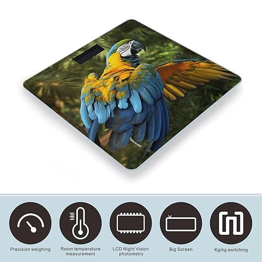 Yellow Wings Blue Parrot Bathroom Scale Automatic Power On/Off Body Scales LCD Backlight Display Square Digital Scale Rounded Corners Bathroom Scales for Home Bedrooms