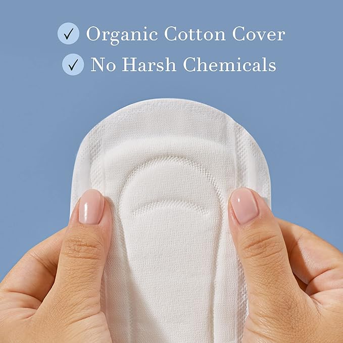 Rael Bundle - Organic Cotton Cover Incontinence Regular Liners (48 Count) Reusable Cloth Pantyliners 1 Pack (Brown 3 Count)