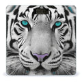 Tiger with Teal Eyes Bathroom Scale Weight Scale for Body WeightHighly Accurate Digital Weighing Machine Clear LED Display Digital Bathroom Body Scale 400lb/182kg