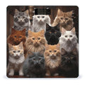 Cat Collection Digital Bathroom Scale for Body Weight Weighing Scale with Backlit LCD Display High Precision Measurements &amp Measures Weight Up to 180kg