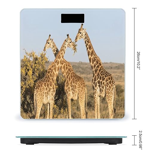 Giraffe Chicken Weight Scale Large Digital Bathroom Scales with Bright LED Display Non Slip Digital Scale and Step On Fashion Weighing Machine for Body