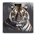 Tiger at Rest Bathroom Scale for Body Weight Bathroom Digital Electronic Weighing Scale with Back Lit LED Display Sturdy Tempered Glass Weight Watchers Scales 400lb