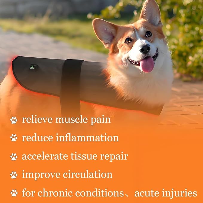 2025 Medium Pet LED Red Light Therapy Device Wearable Infrared Therapy Belt (660nm 850nm) Dual-Wavelength 120° Luminous Angle for Back Abdomen Recovery