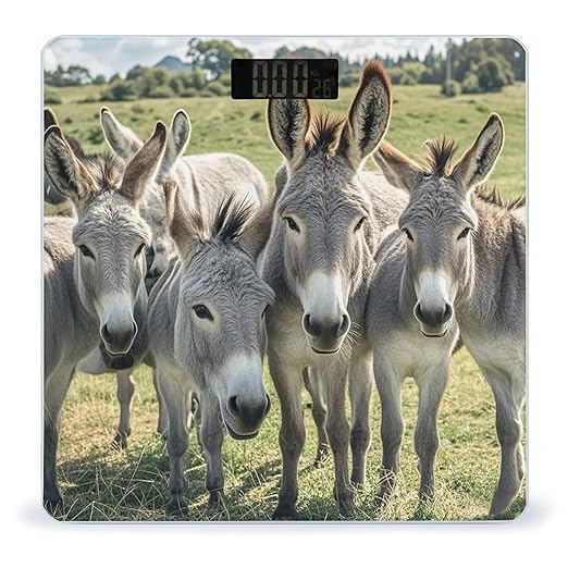 Donkey Animals Scale for Body Weight Smart Scales Digital Bathroom Scale High Precision Weighing Scales with Large Display Weighing Machine for People