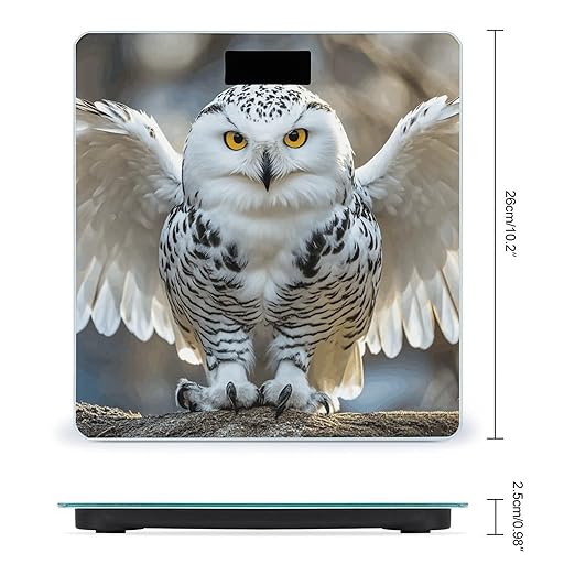 Snow Owl Bathroom Scale for Body Weight LCD Display Digital Bathroom Scale Tempered Glass Bathroom Weight Scales Fashion Smart Scales for Home Bedroom 400 Lb