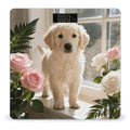 Sunny Windowsill Dog Scale for Body Weight Sturdy Tempered Glass Weighing Scales with LCD Display Accurate Digital Bathroom Scale Convenient Body Fat Smart Scales Easy Read