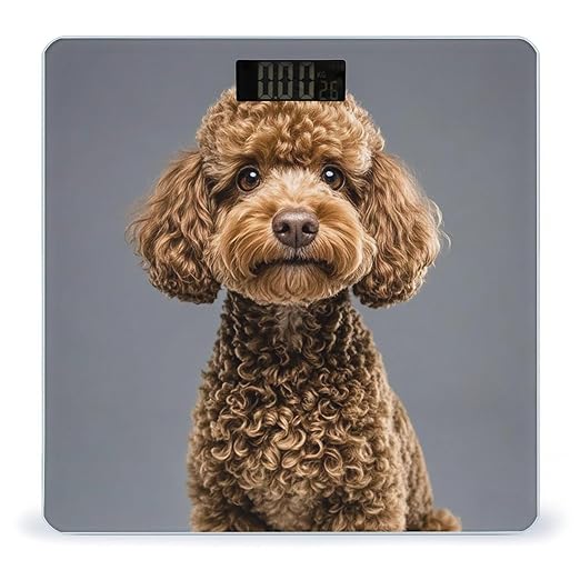 Brown Poodle Scale for Body Weight Digital Bathroom Scale Toughened Glass High Precision Scales for Body Weight with Large LCD Backlight Display Weight Scales