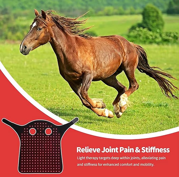 Equine Red Light Therapy Device Wearable Red Light Therapy Belts for Pain Relief Repair Muscle 850nm ＆ 660nm LED Red Light Therapy for Horse Head and Neck M