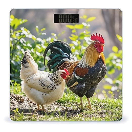 Rooster and Hen Scale for Body Weight Highly Accurate Digital Bathroom Body Scale Digital Bathroom Scales for People Anti-Slip Large LCD Display Smart Scales