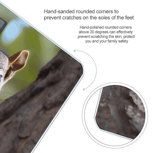 Squirrel in The Tree Bathroom Scale Rounded Smart Scale for Body Weight Automatic Power On/Off Weight Scales Accurate Bathroom Digital Scales for Pet Home Bedroom Kitchen