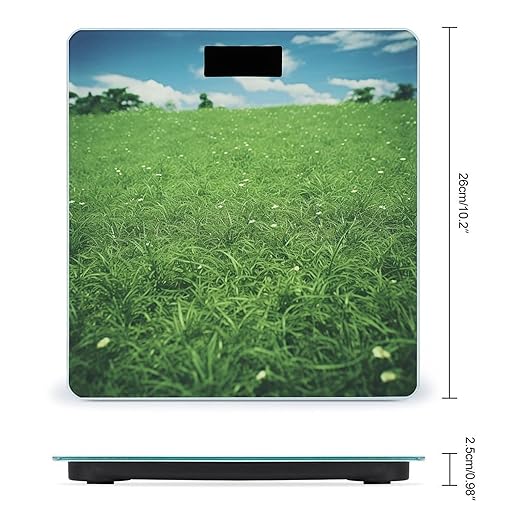 Green Lawn Scale for Body Weight Highly Accurate Digital Bathroom Scale Sturdy Tempered Glass Weighing Scales with LCD Display Fashion Body Fat Smart Scales 400lb